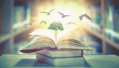 学而思与新东方股票未来有没有上涨的可能呢？